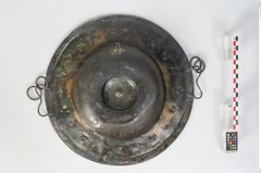 Foto von Bronzebreitrandschale (NHMW-PRAE-024476)